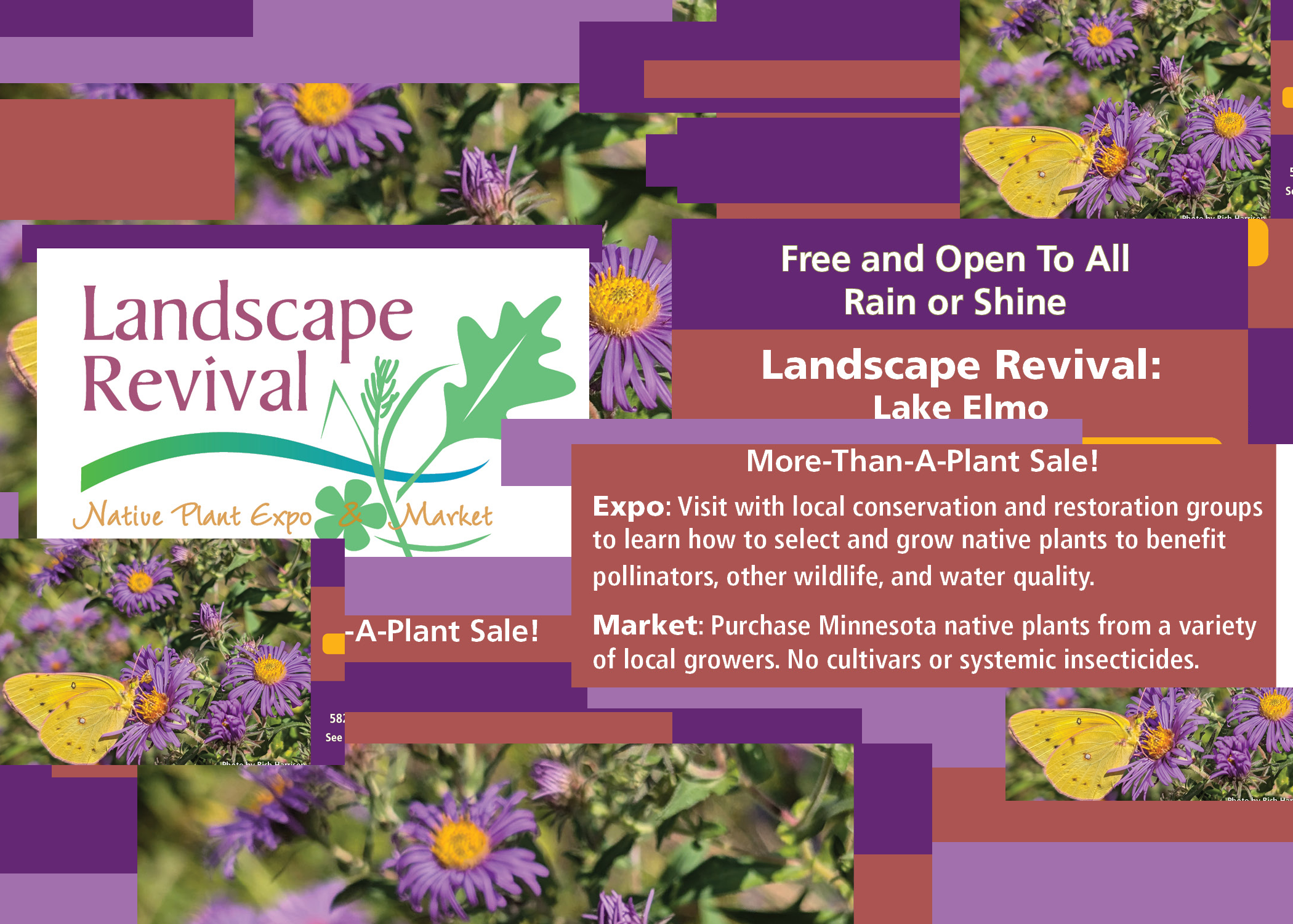 6/6/2026 - SALE: Landscape Revival