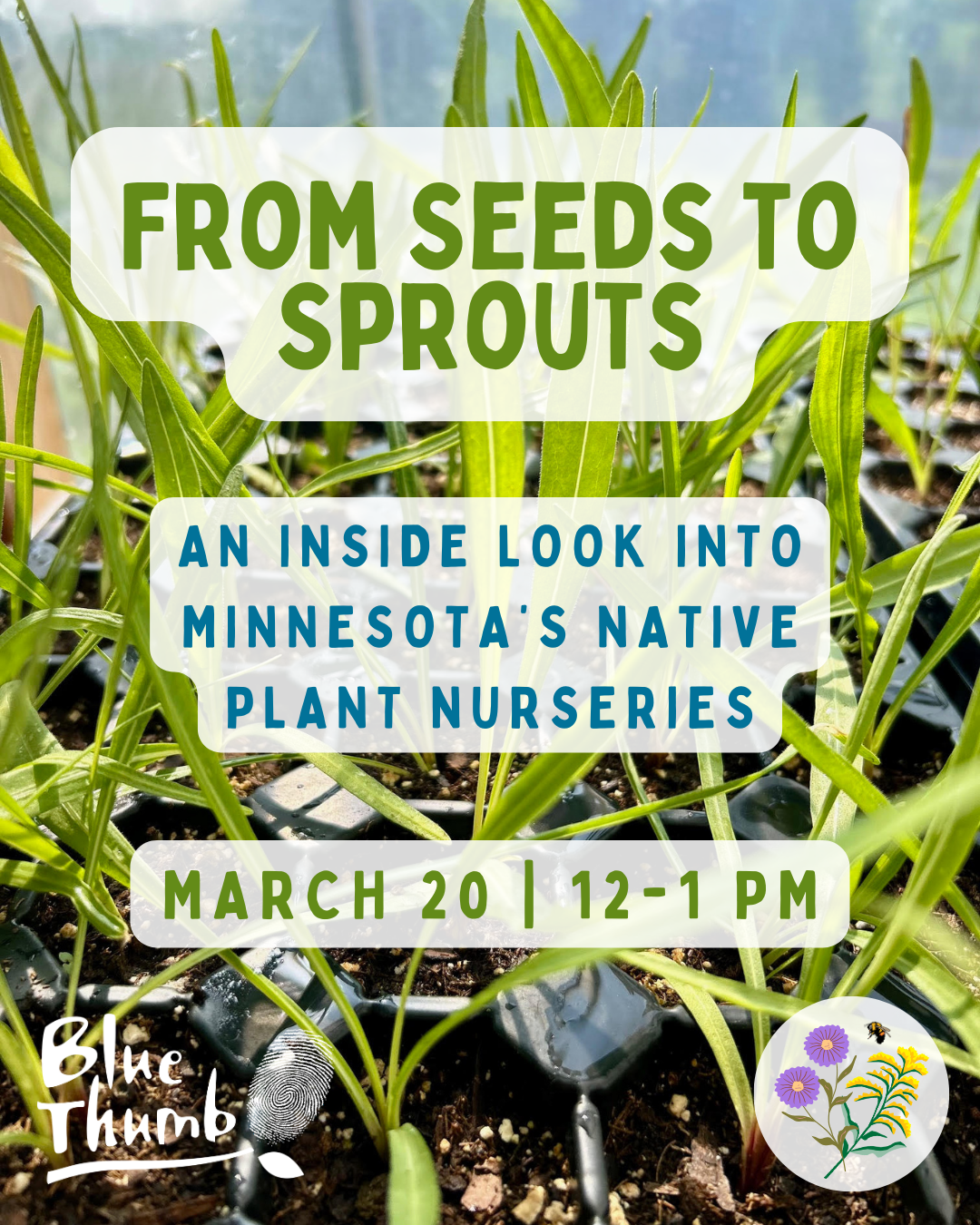 ARCHIVED - PANEL: From Seeds to Sprouts