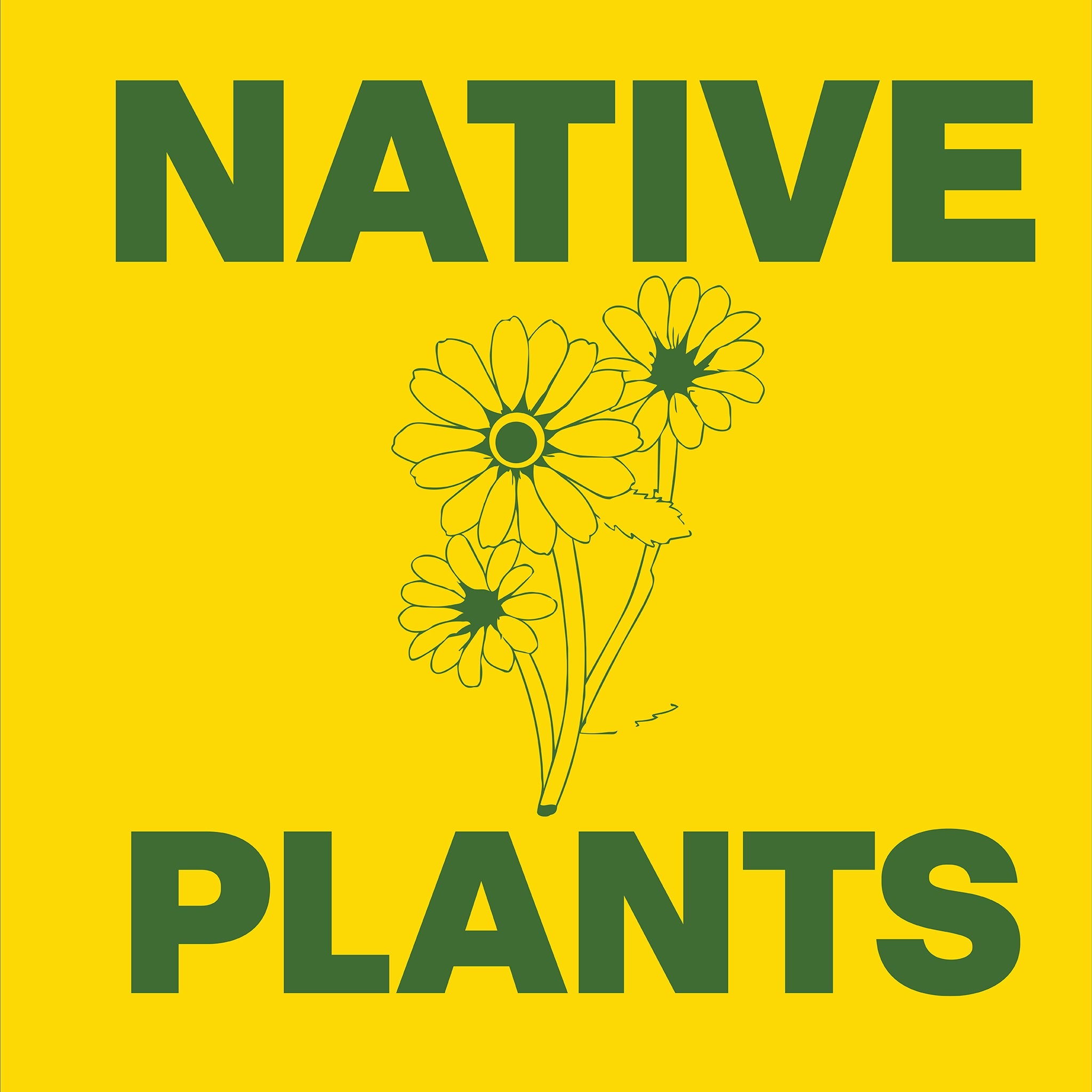 Native Plants