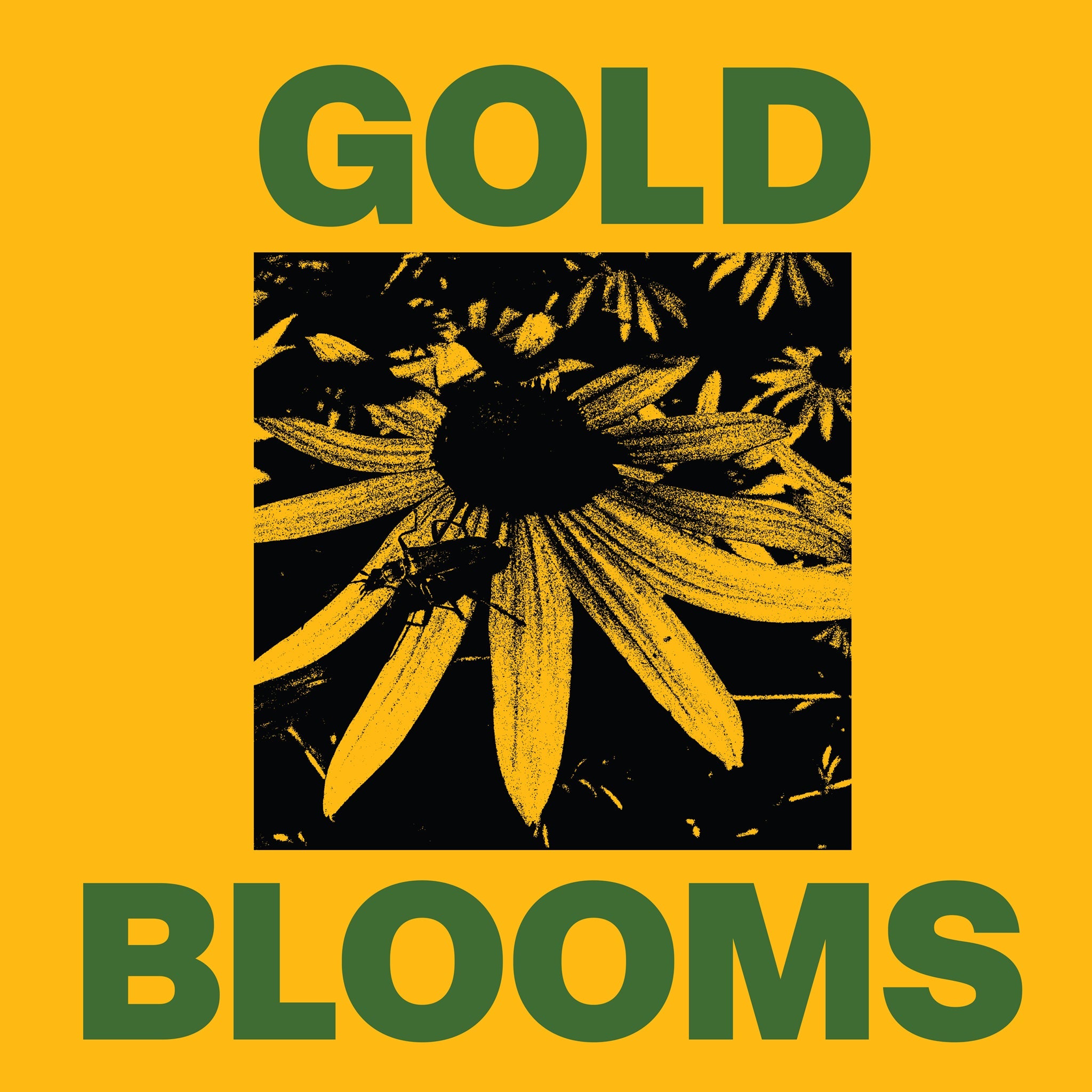 Gold Blooms