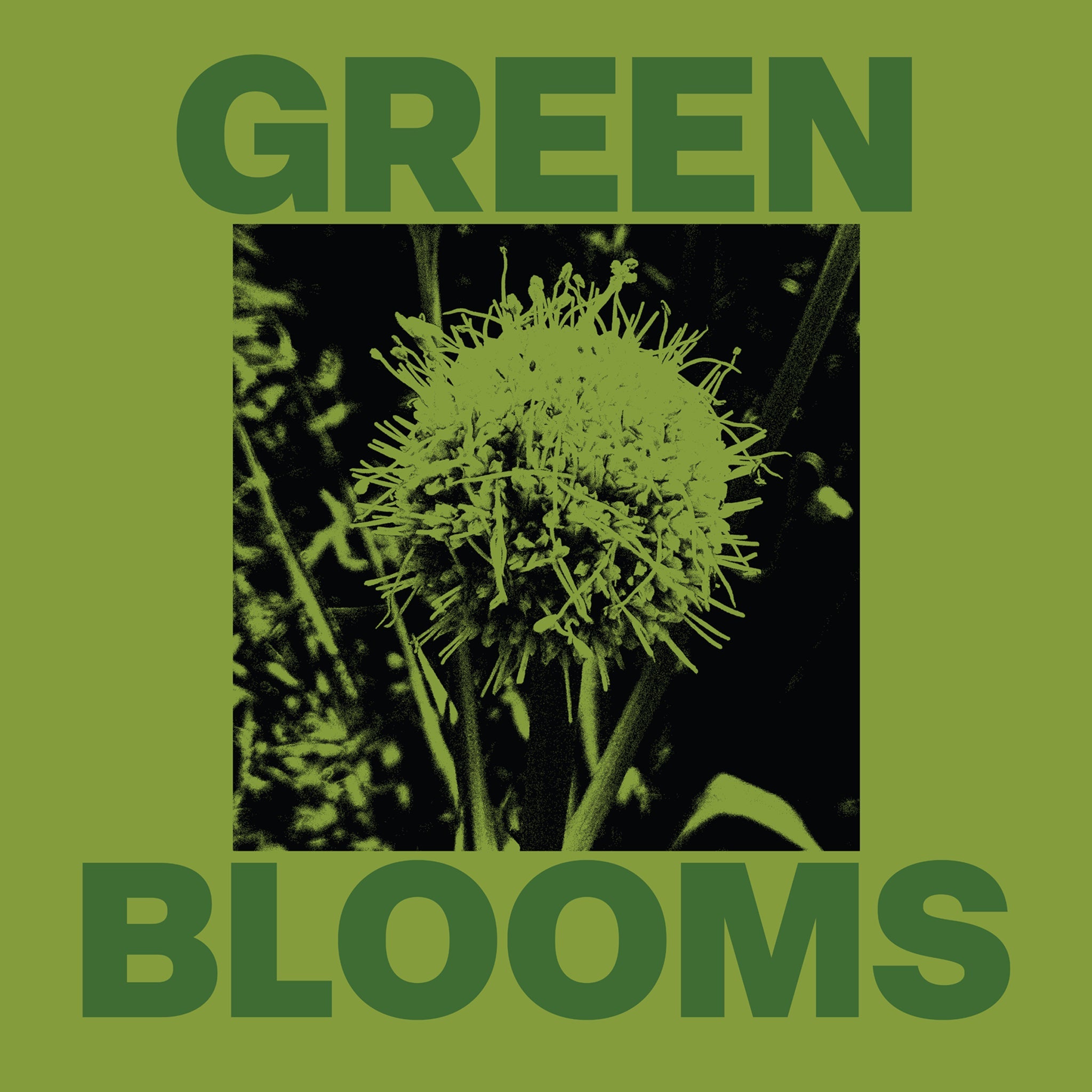 Green Blooms