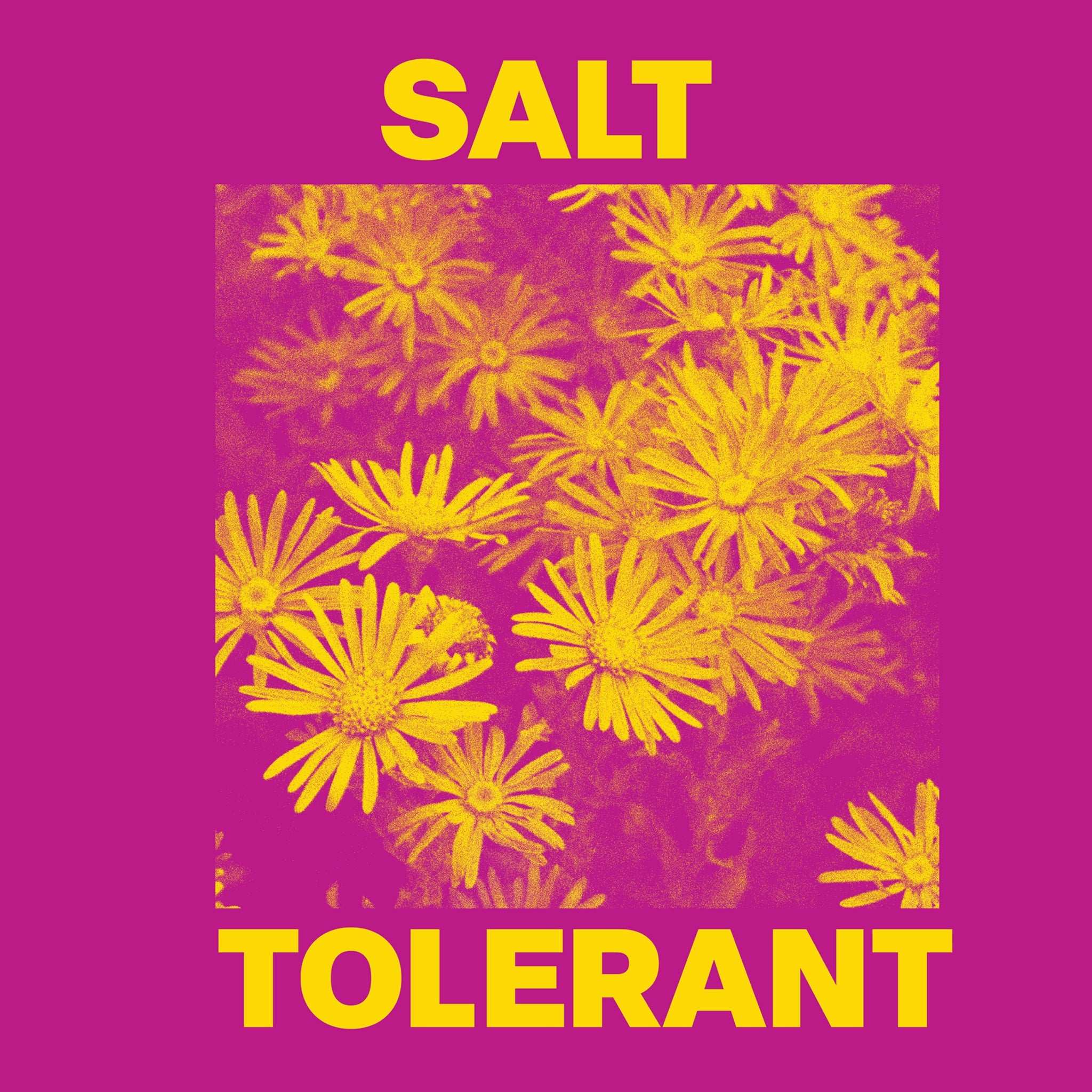 Salt Tolerant