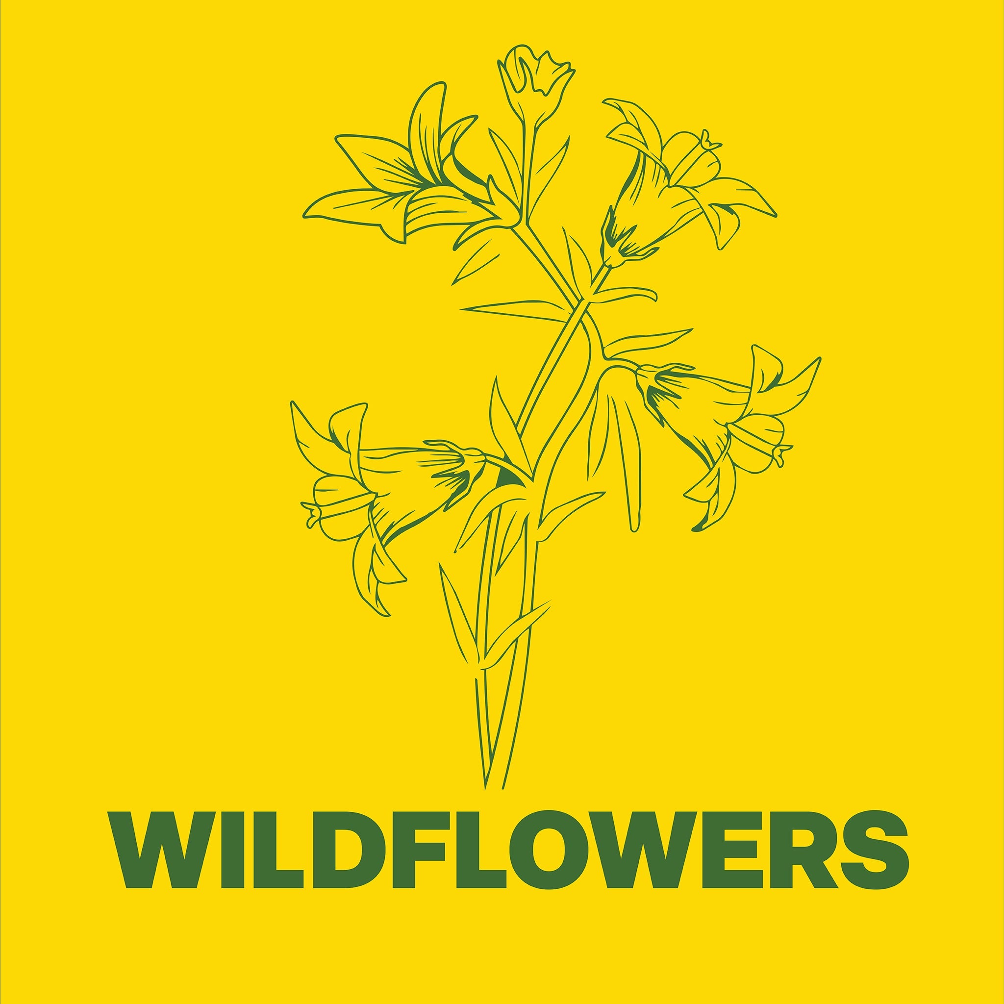 Wildflowers