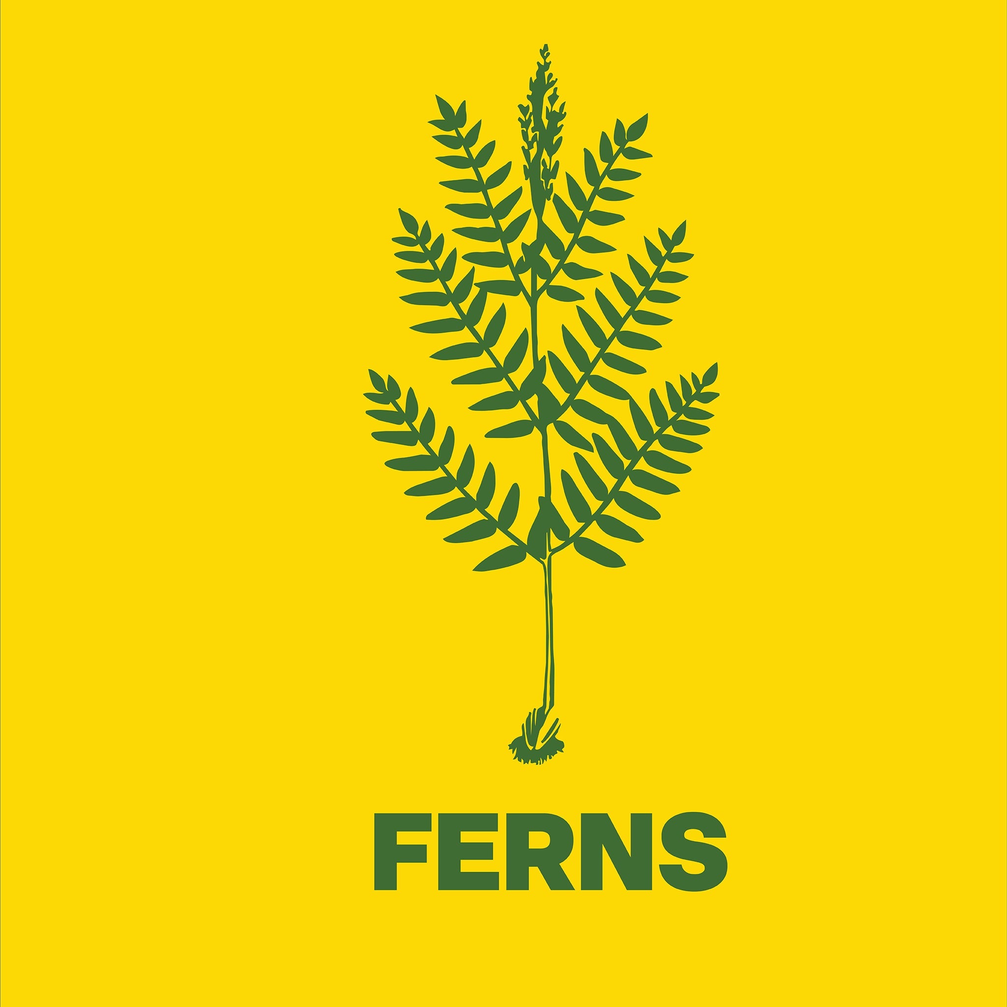 Ferns