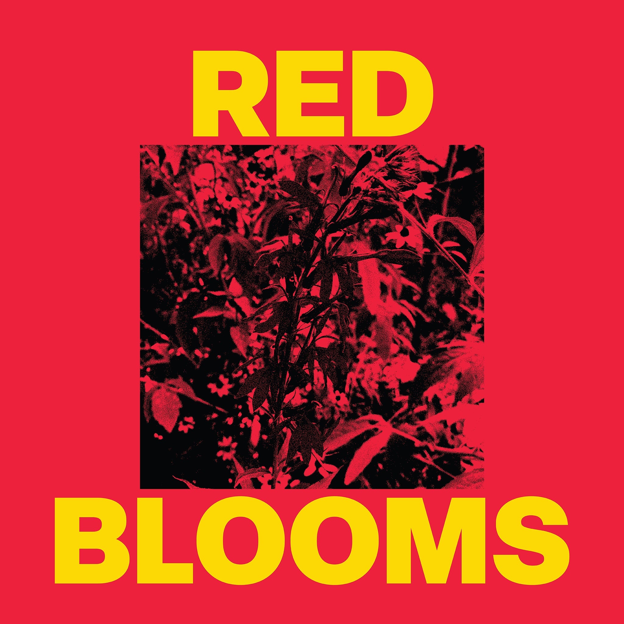 Red Blooms