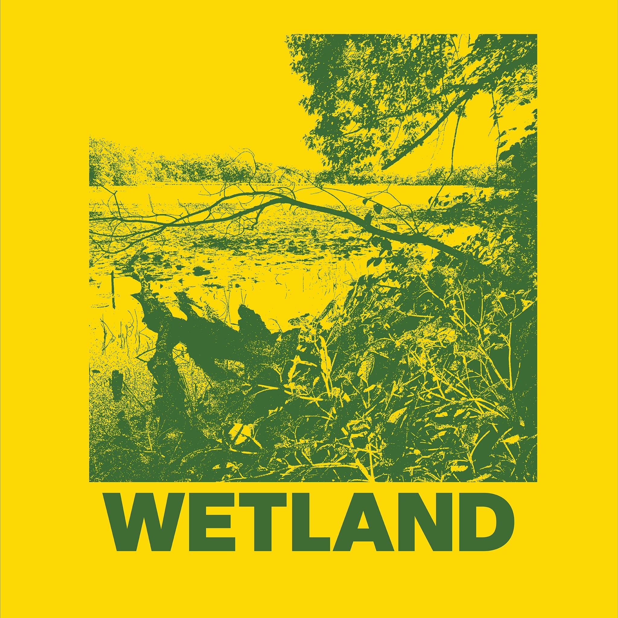Wetland