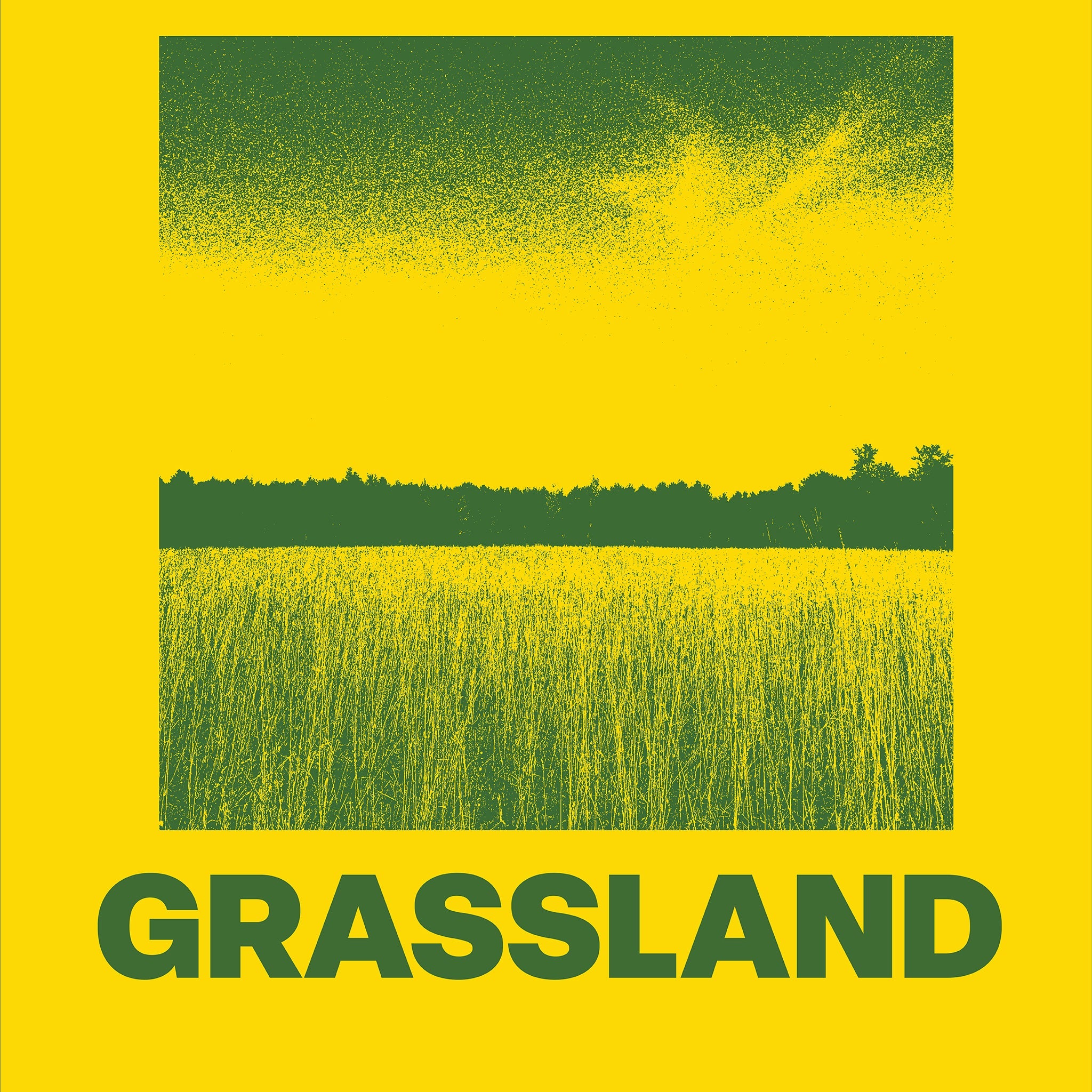 Grassland