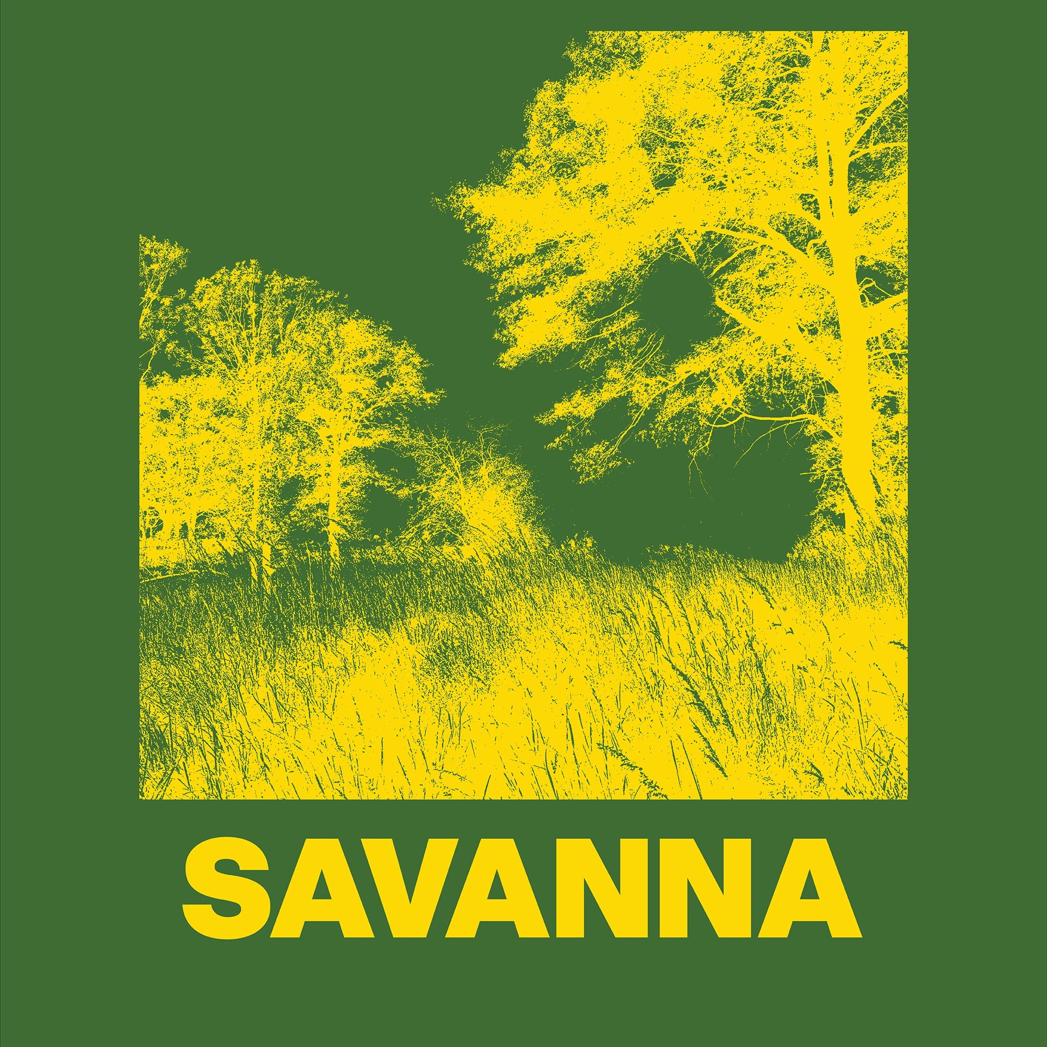 Savanna