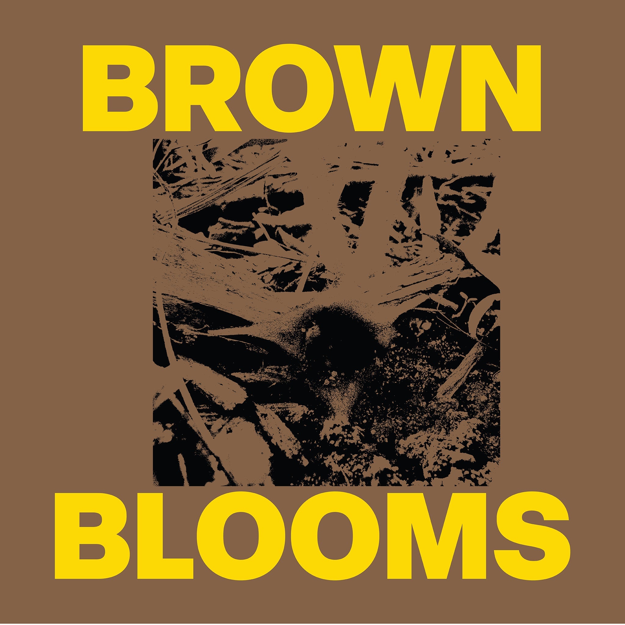 Brown Blooms