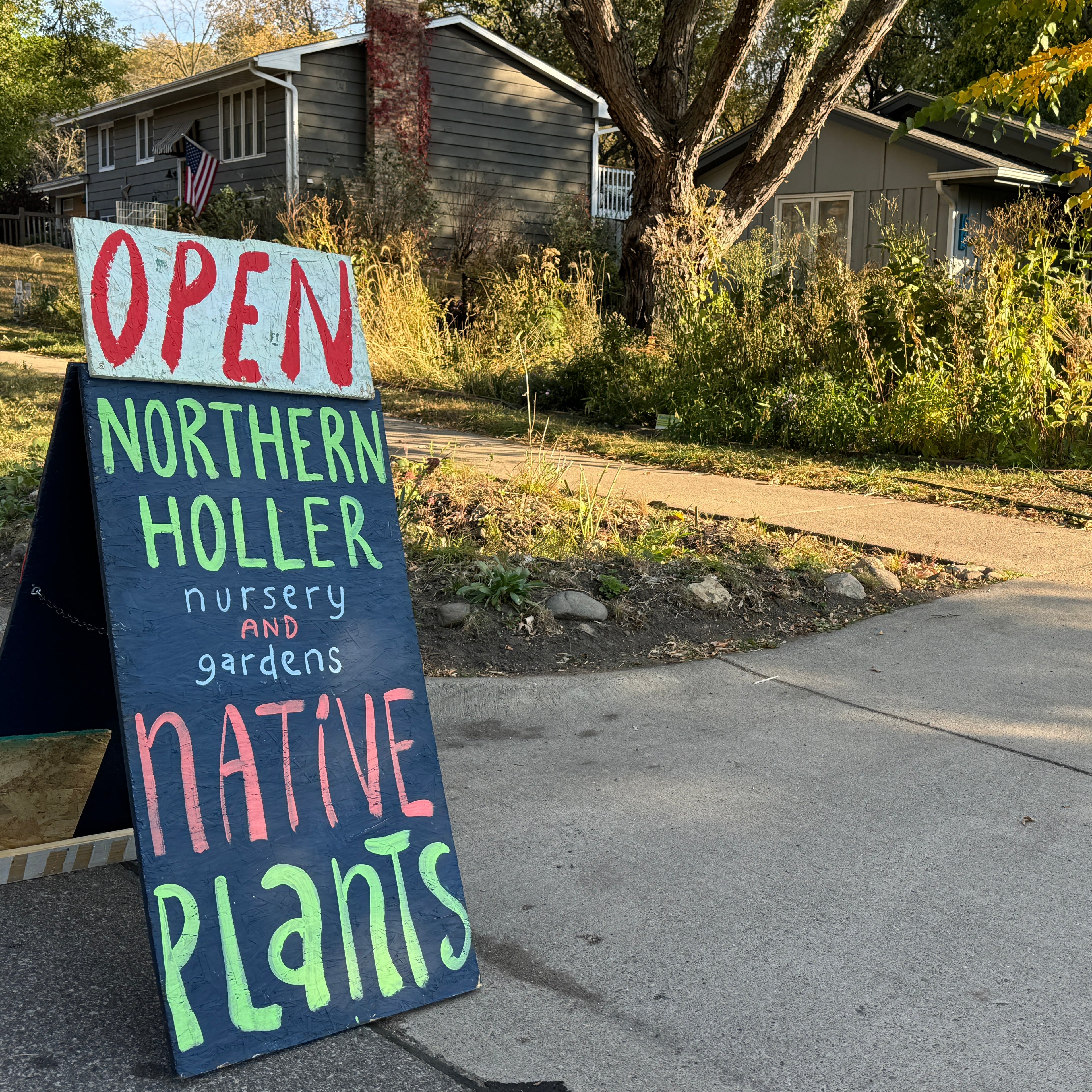 Colorful sign for Northern Holler nursery and gardens with 'Open' and 'Native Plants' text on a sidewalk.