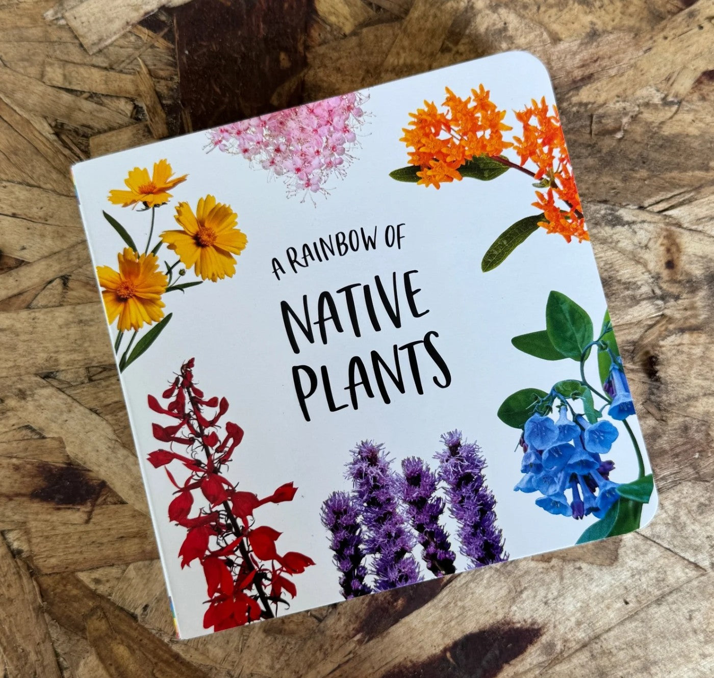 A Rainbow of Native Plants (Children's Board book)